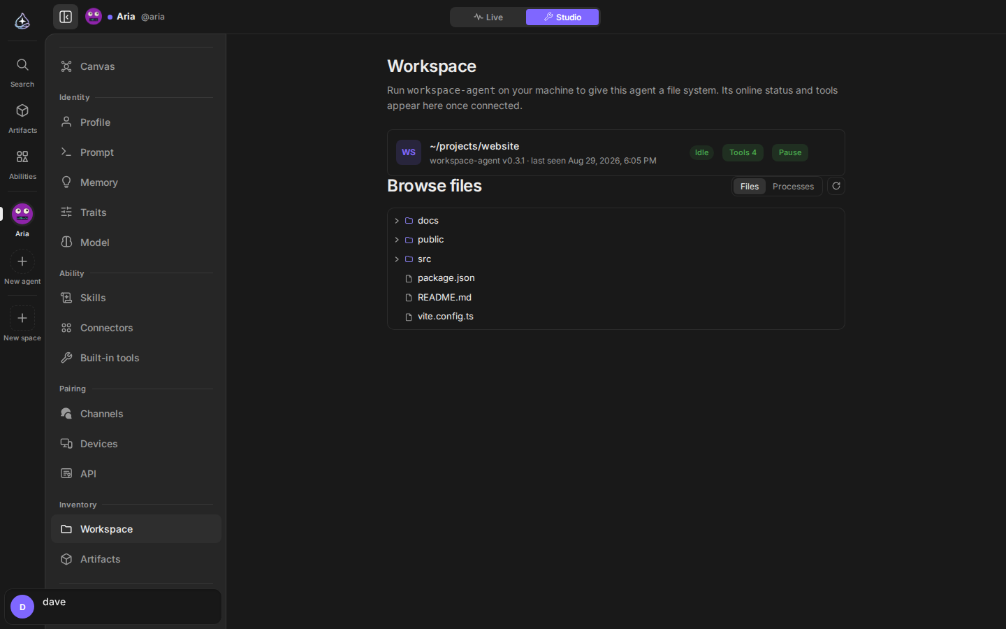 Agent Workspace: a connected file system with a browser panel